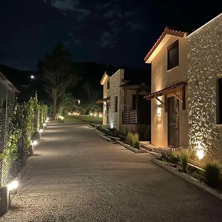 Palma Seaside 2 Szárti