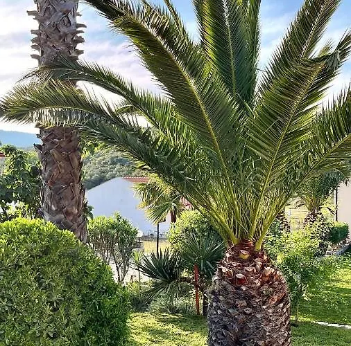 Palma Seaside 2 Sarti