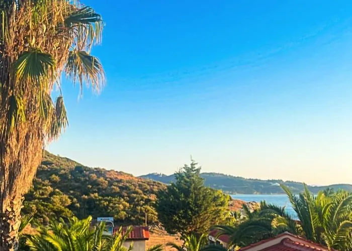 Palma Seaside 2 Semesterbostad