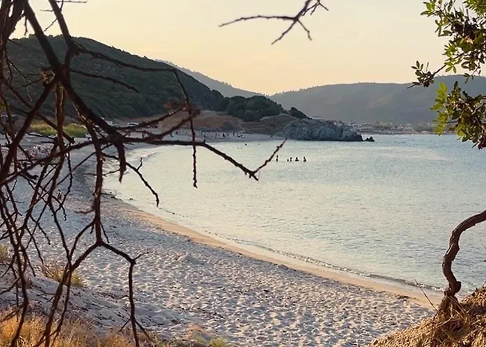 Palma Seaside 2 Sarti